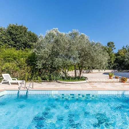 In The Swimming Pool Brioni 2 Peroj